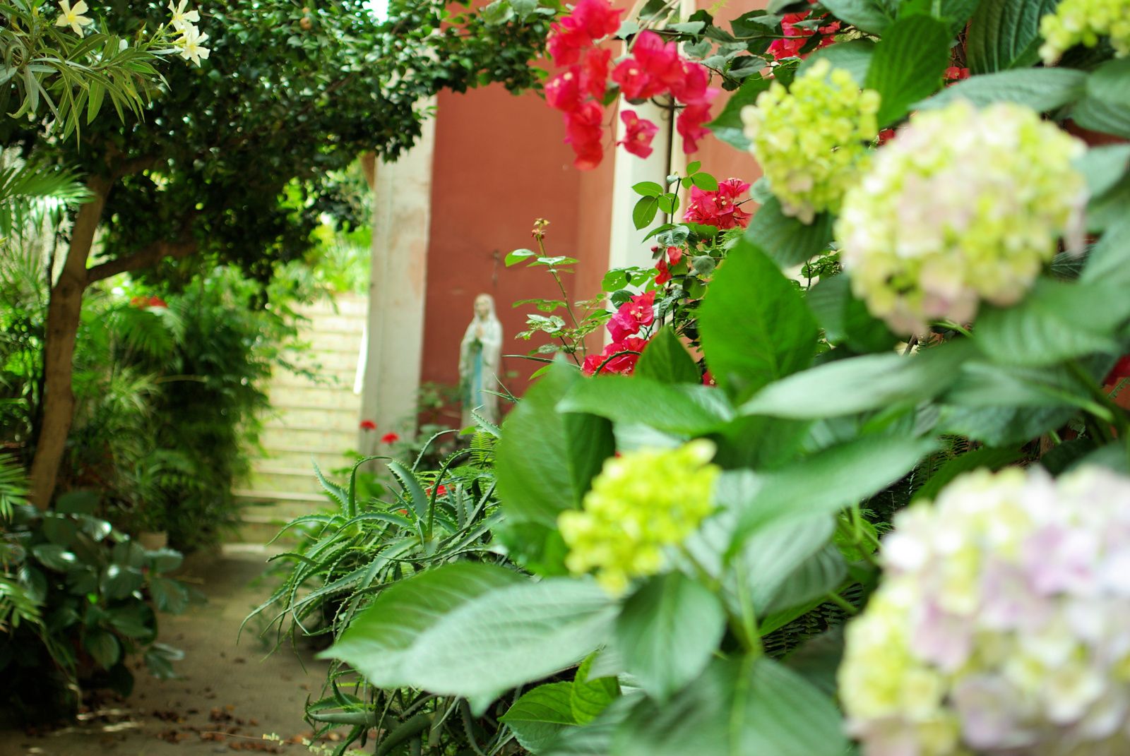 Procida-Garden