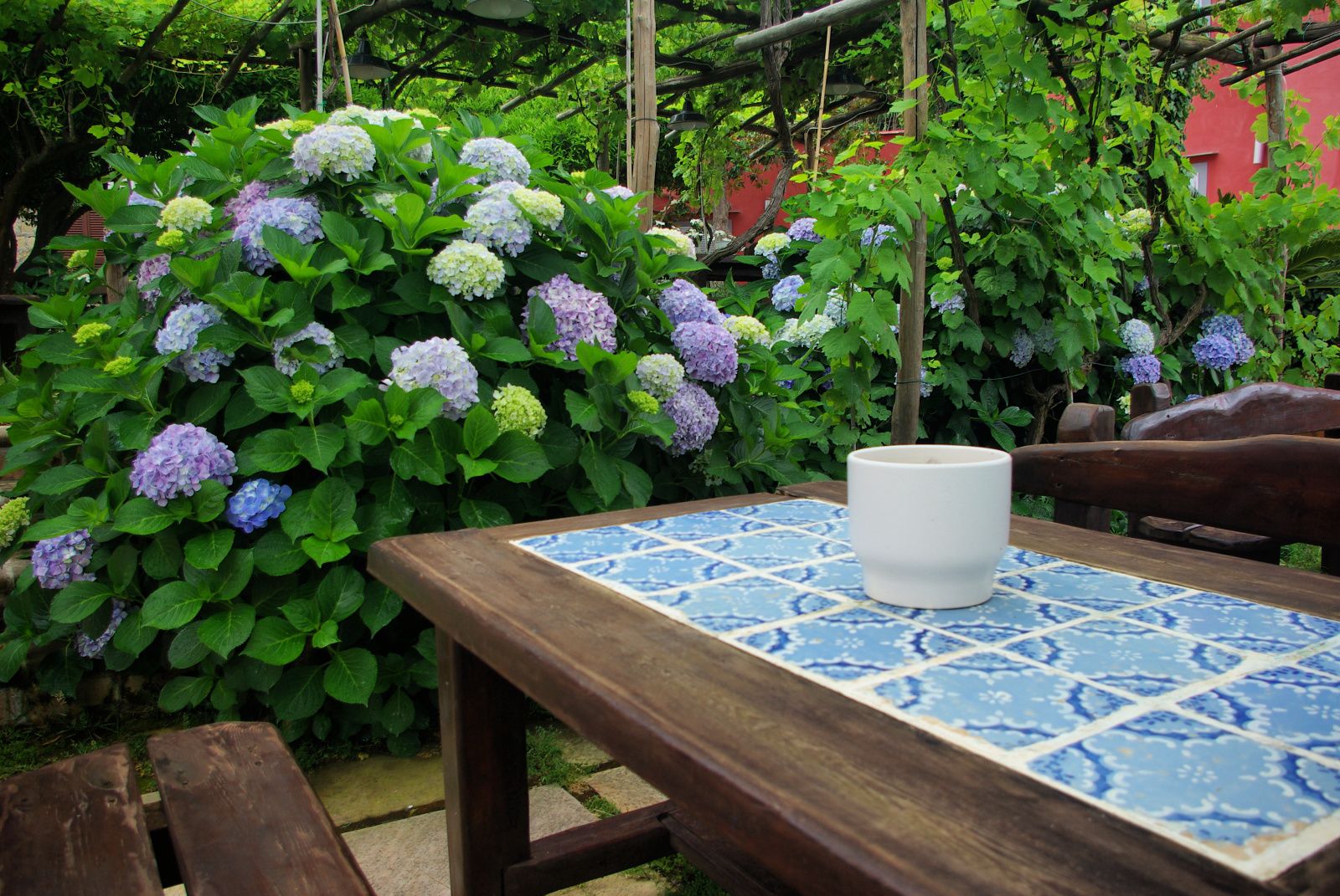 Procida-Hotelgarden