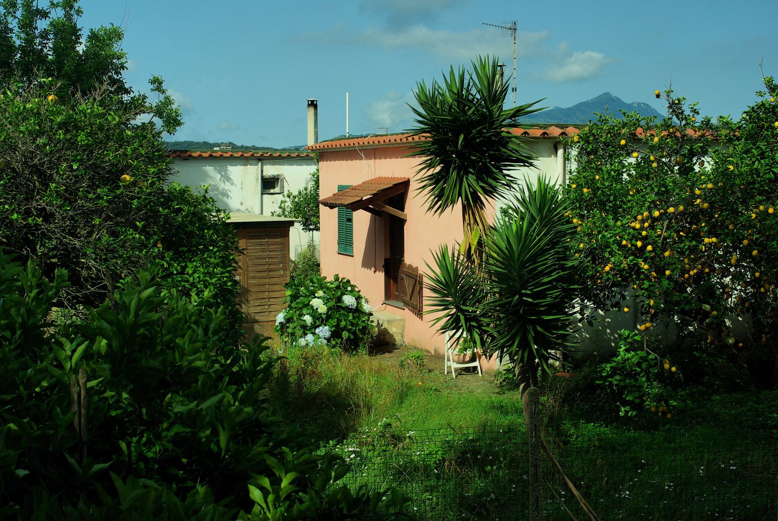 Procida-Garden