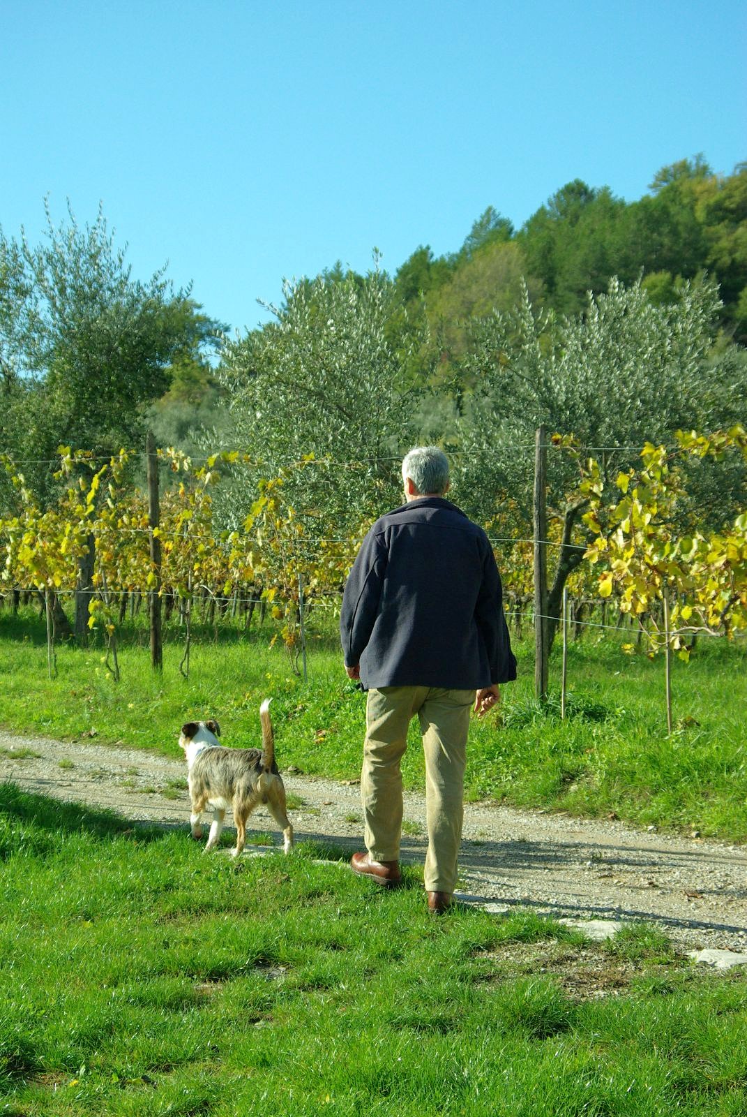 Slow travel in Tuscany