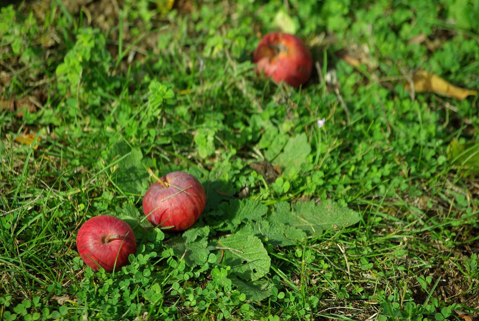 Slow travel in Tuscany