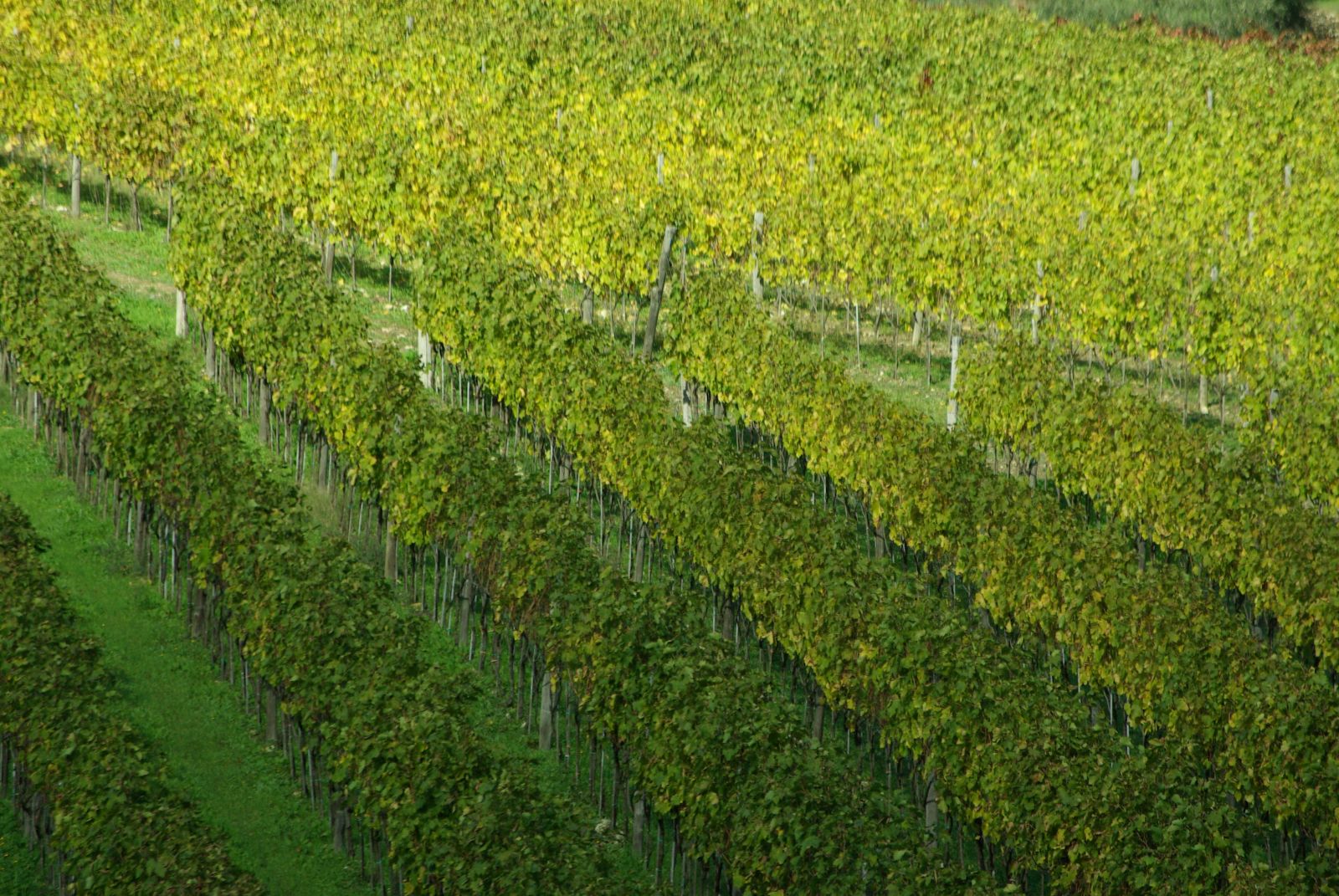 Slow travel in Tuscany