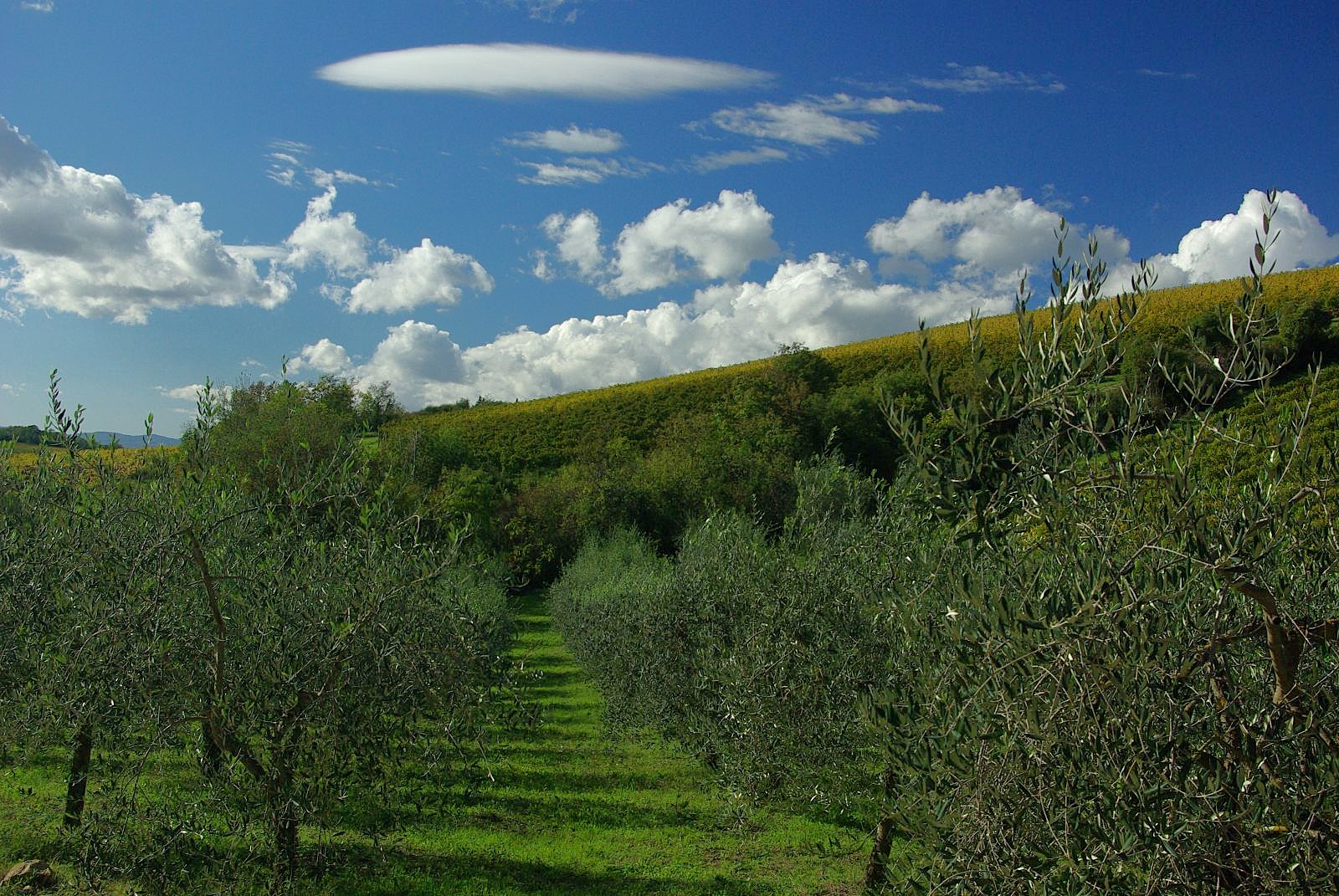 Slow travel in Tuscany