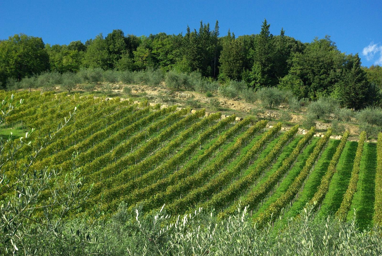 Slow travel in Tuscany