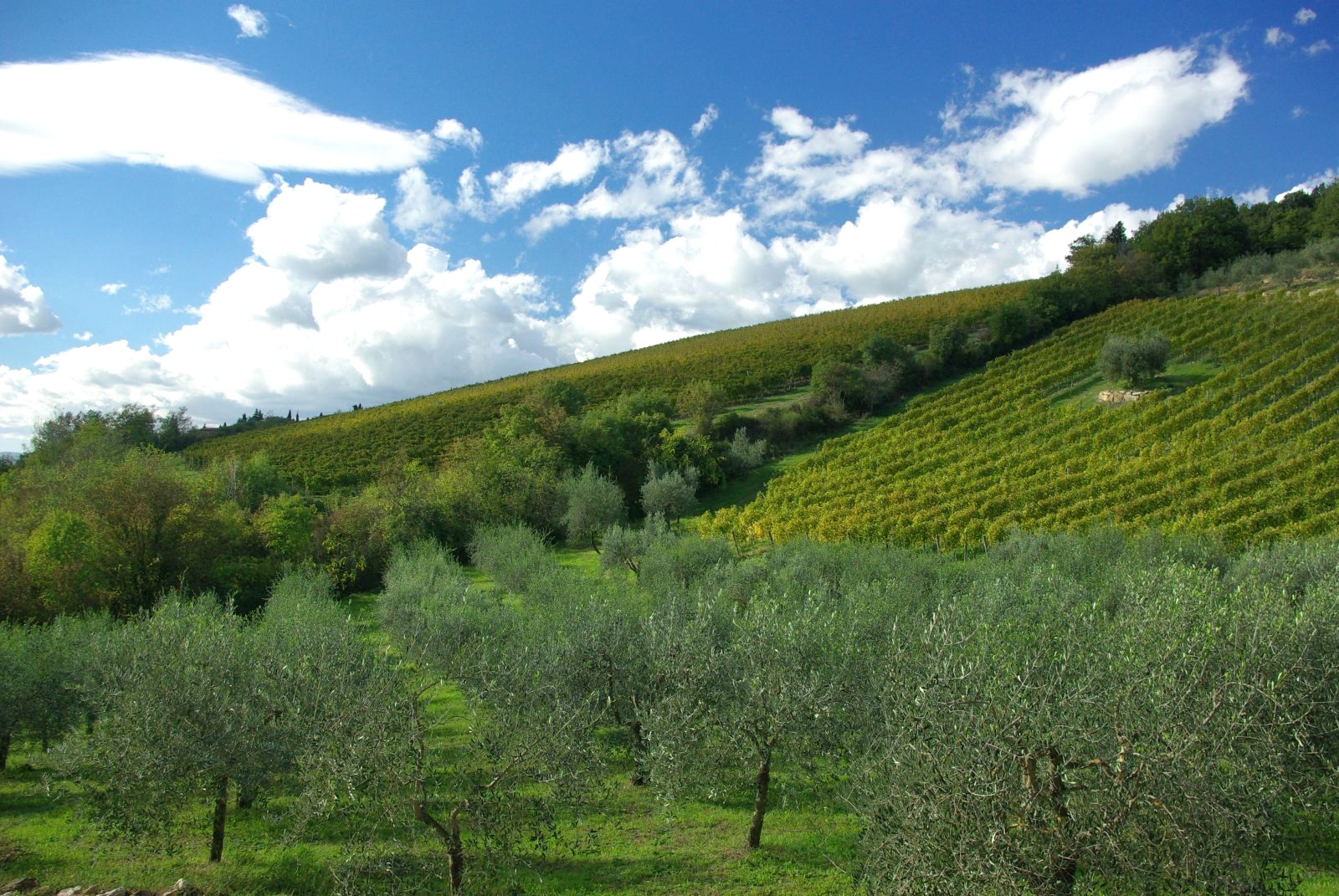 Slow travel in Tuscany