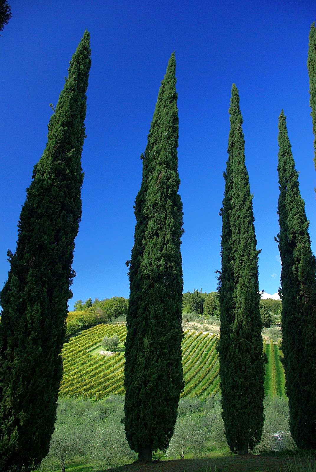 Slow travel in Tuscany