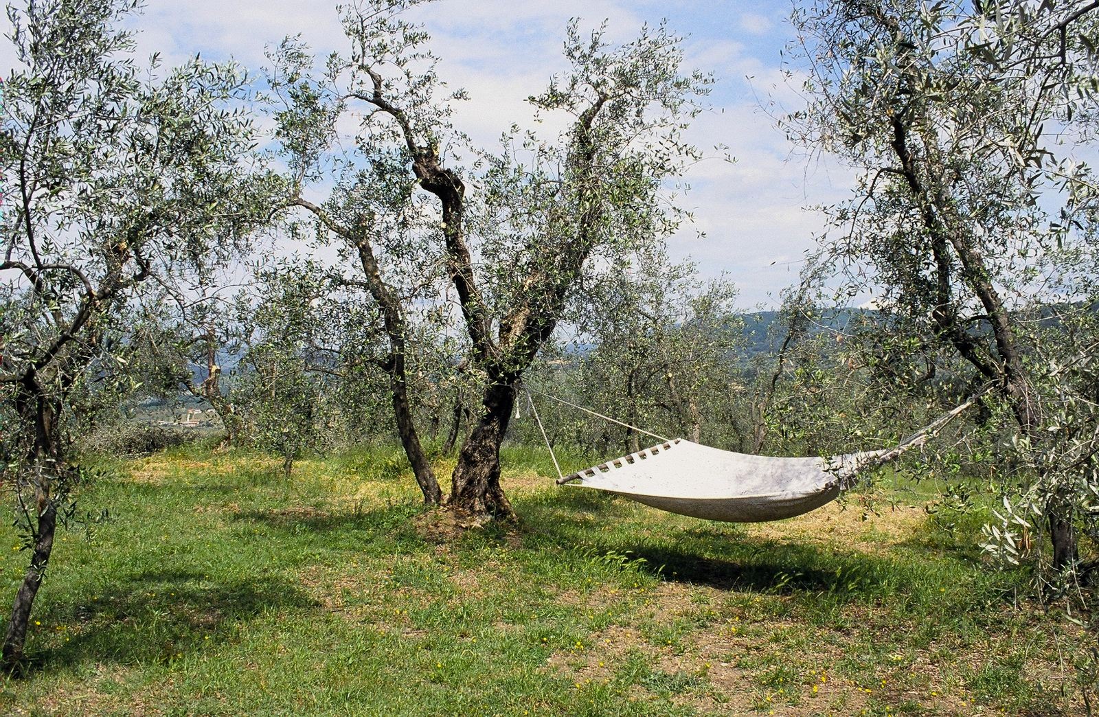 Slow travel in Tuscany