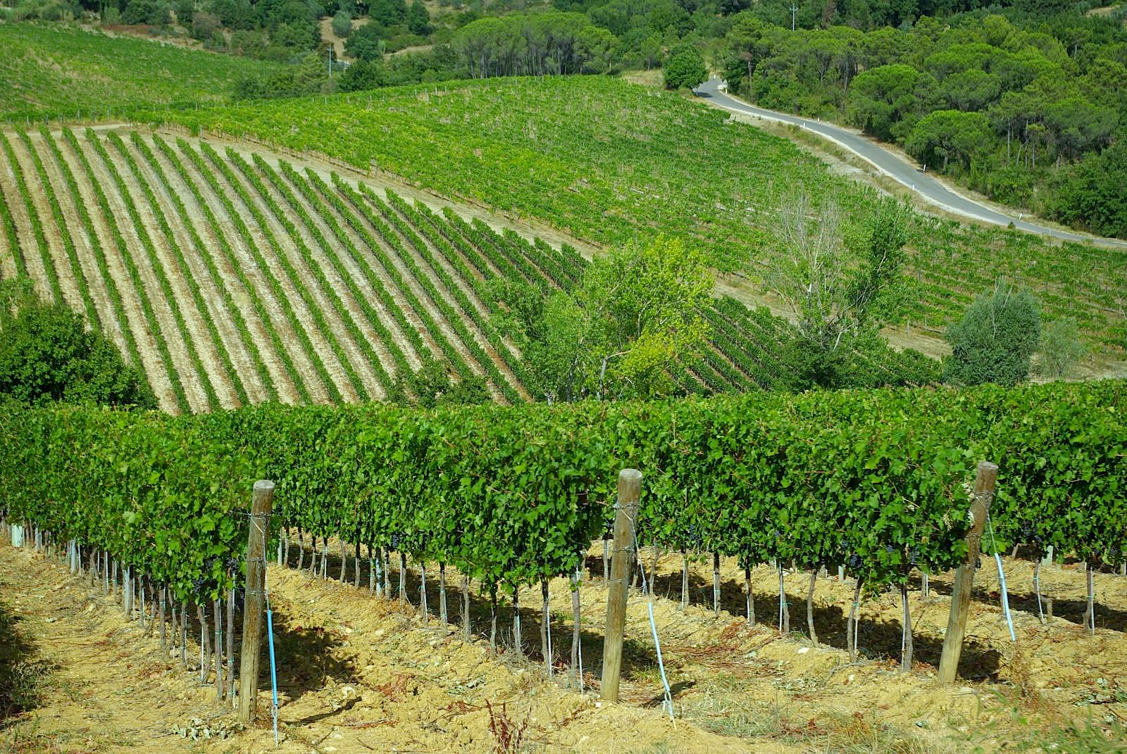 Slow travel in Tuscany