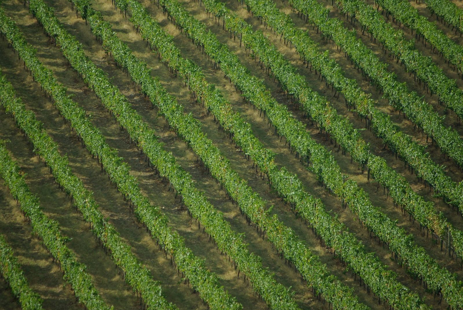 Slow travel in Tuscany