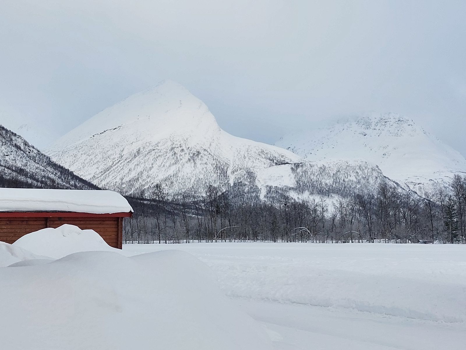 Italy and the Arctic