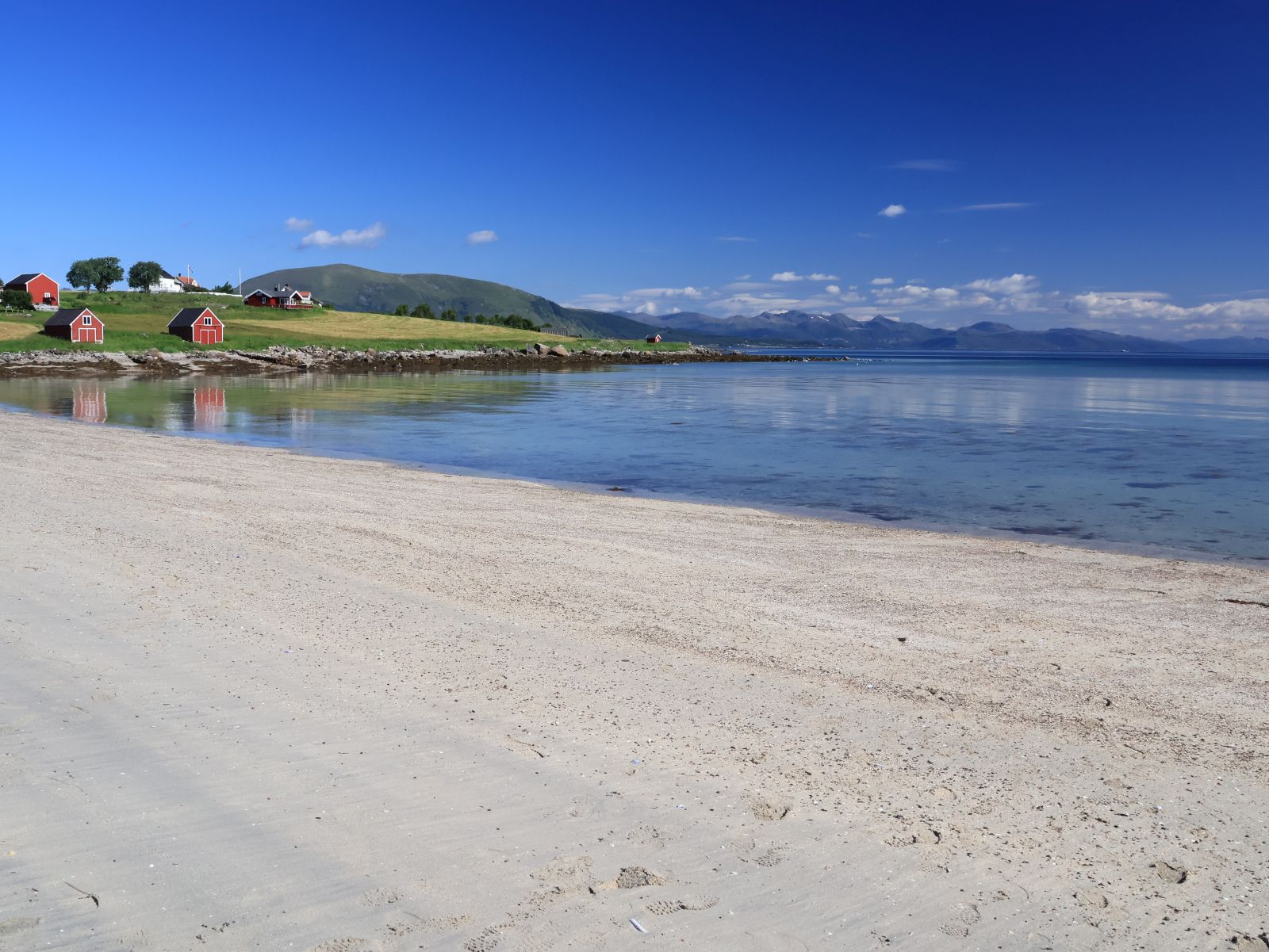 Italy and the Arctic