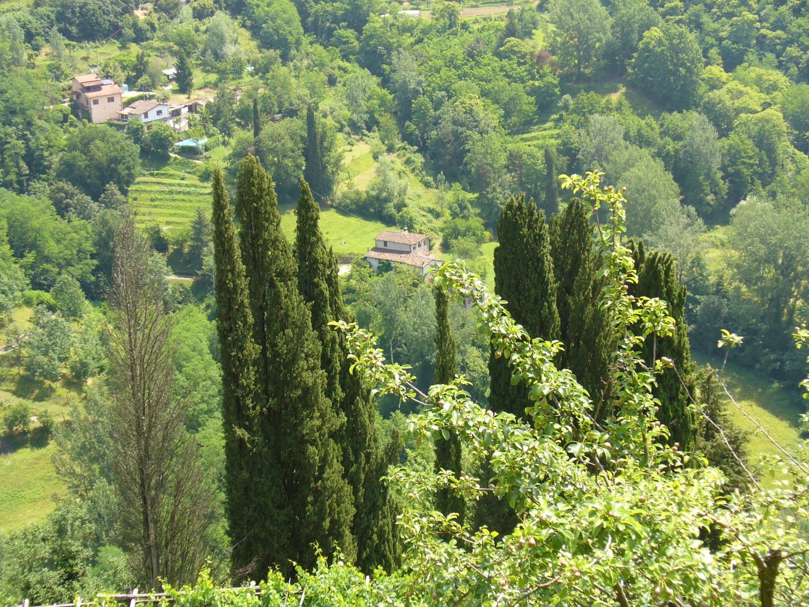 Garfagnana