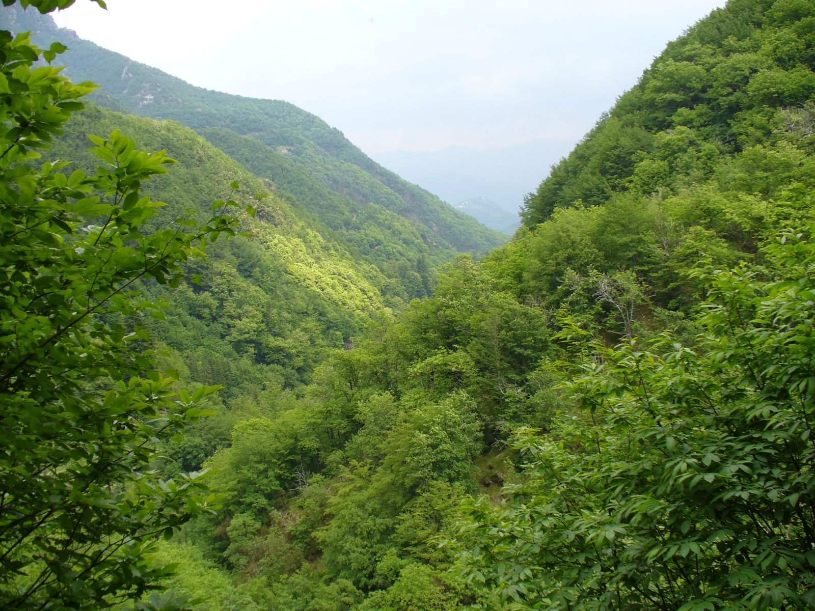 Garfagnana