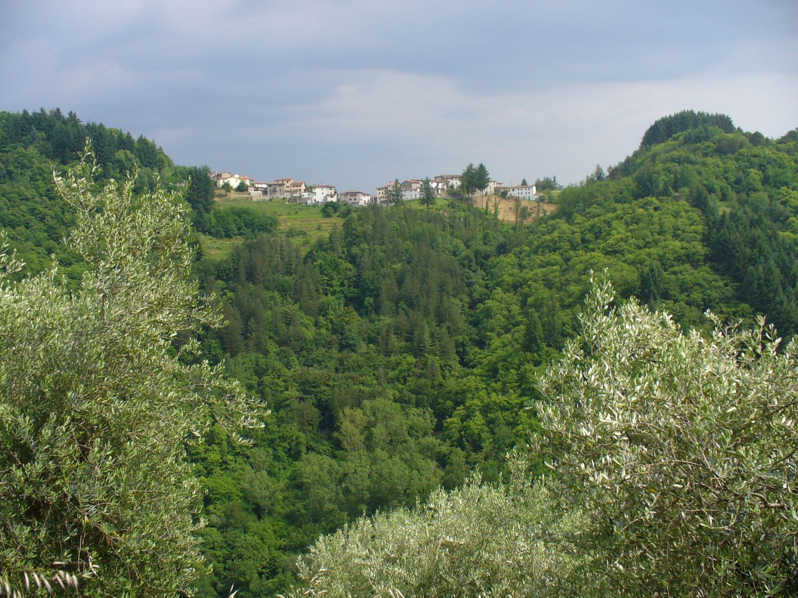 Garfagnana