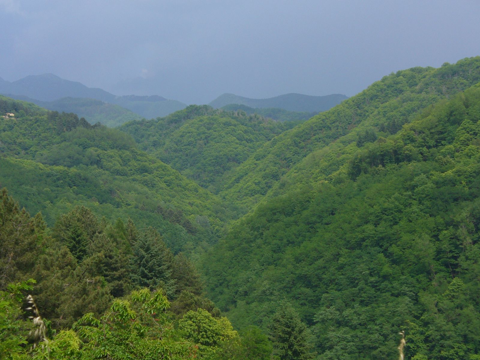 Garfagnana