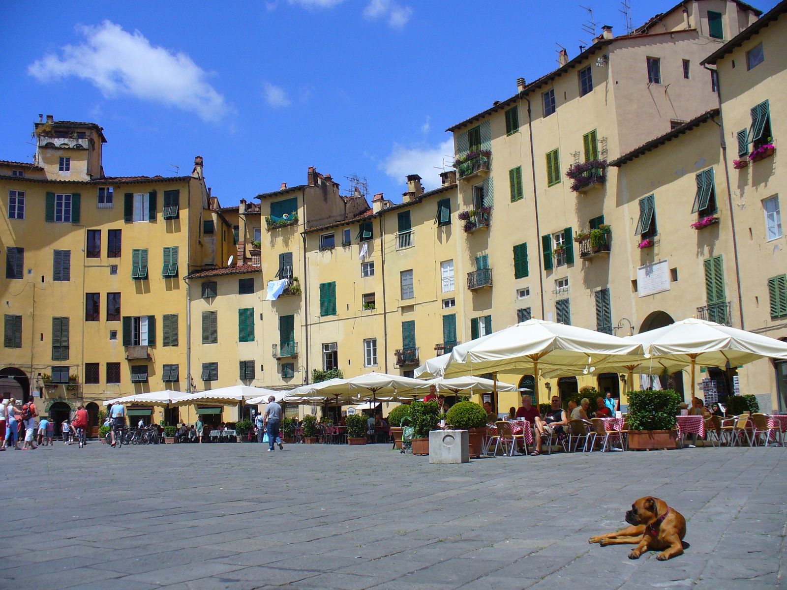 Lucca