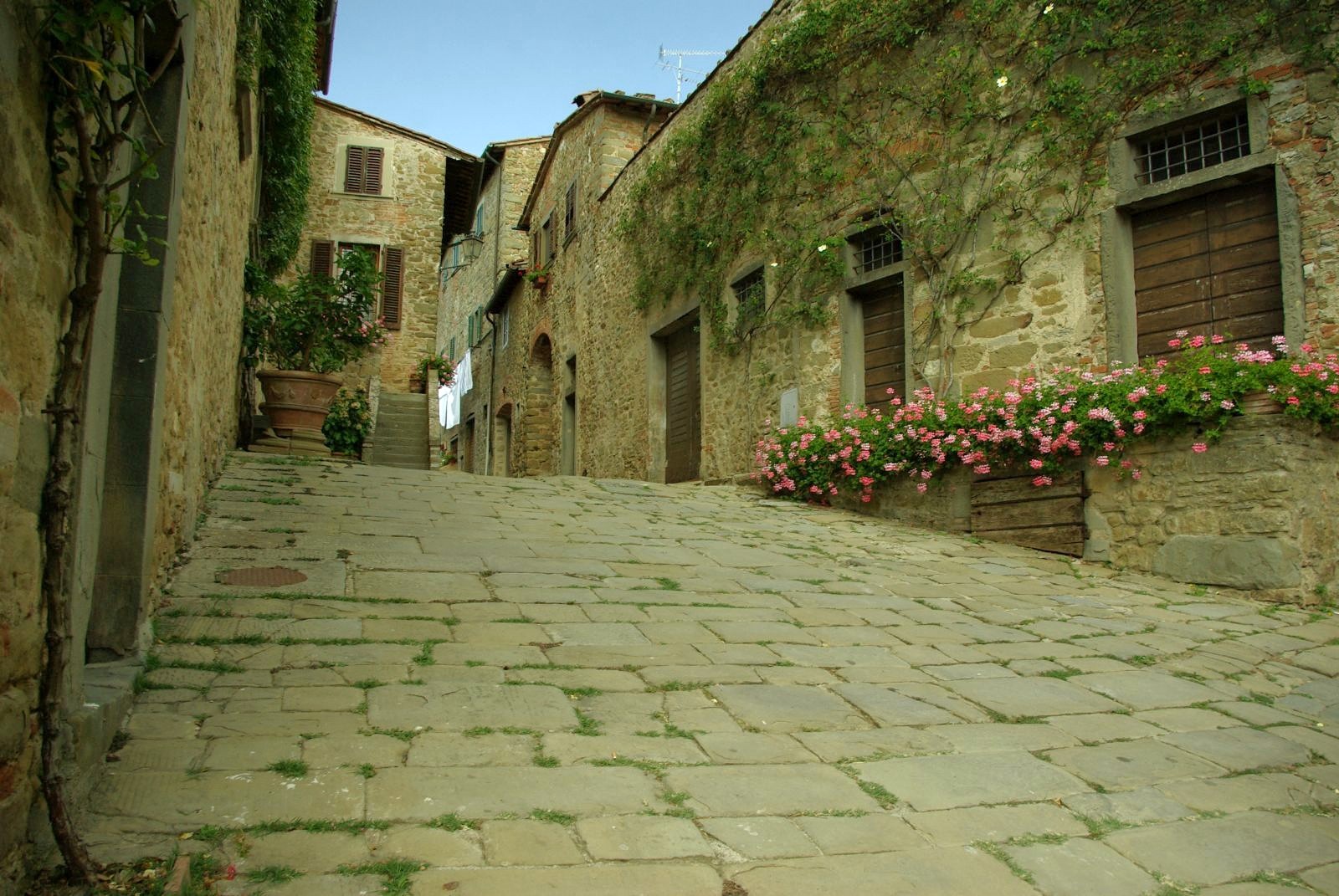 Volpaia