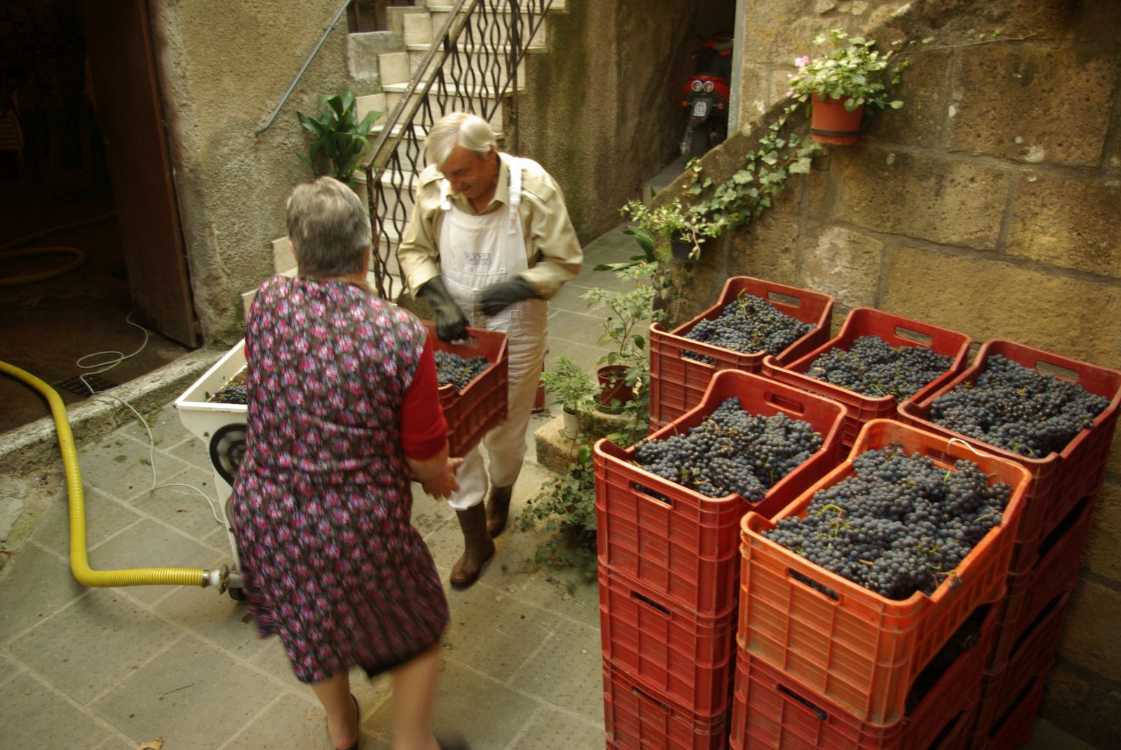 Pitigliano