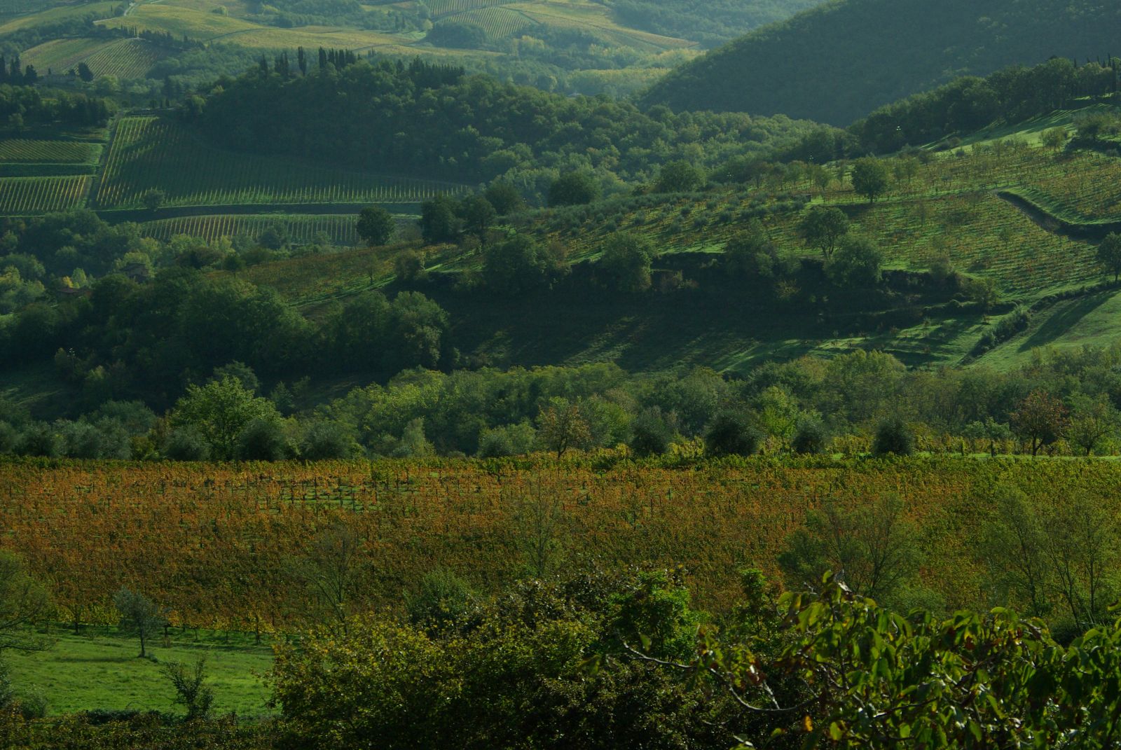 Slow travel in Tuscany