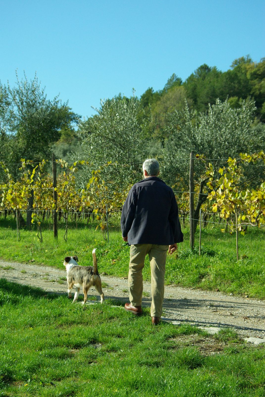 Tuscany and agriturismo