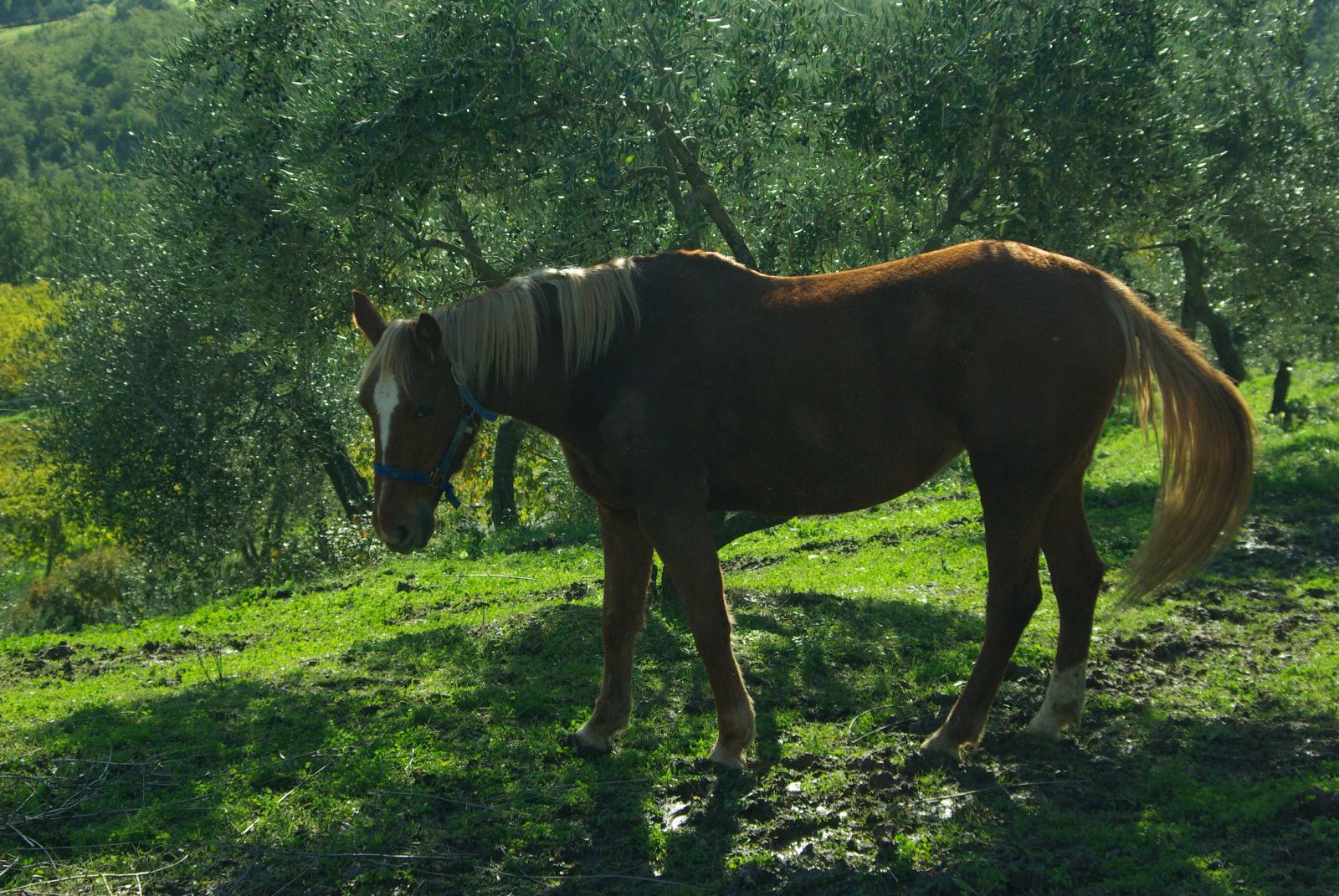 Tuscany and agriturismo