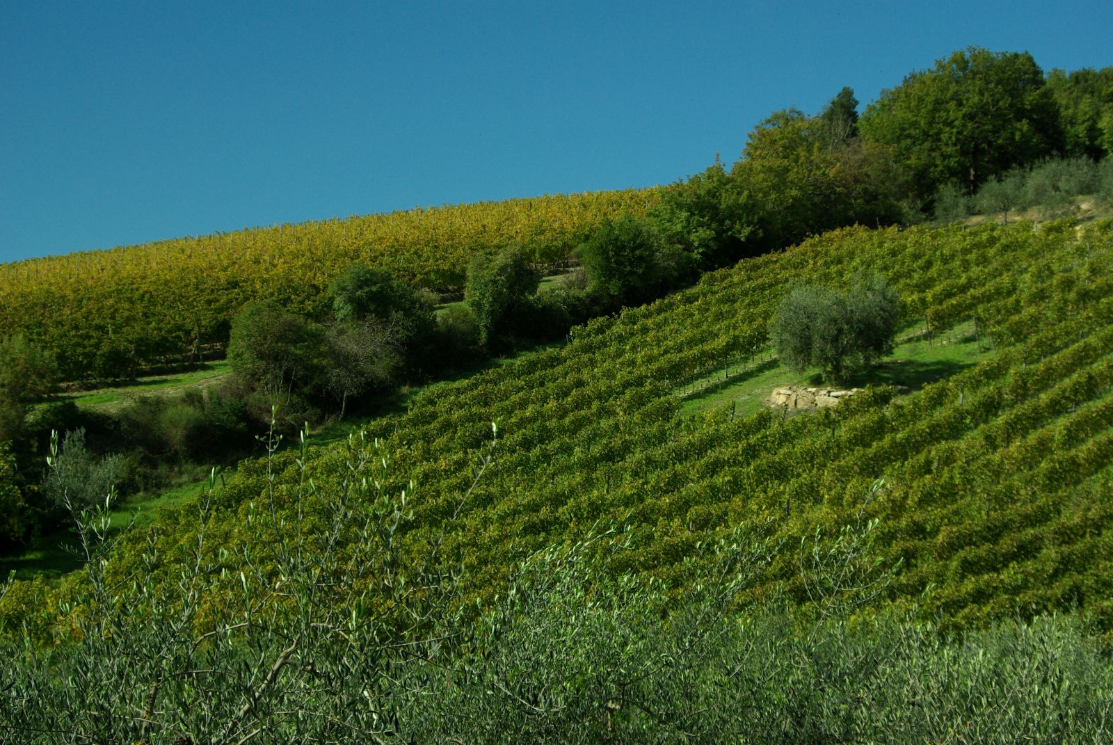 Tuscany and agriturismo