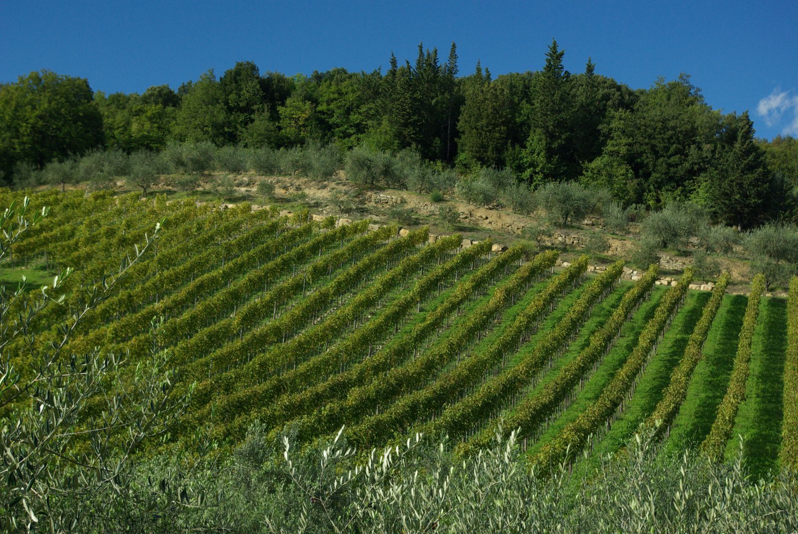 Tuscany and agriturismo