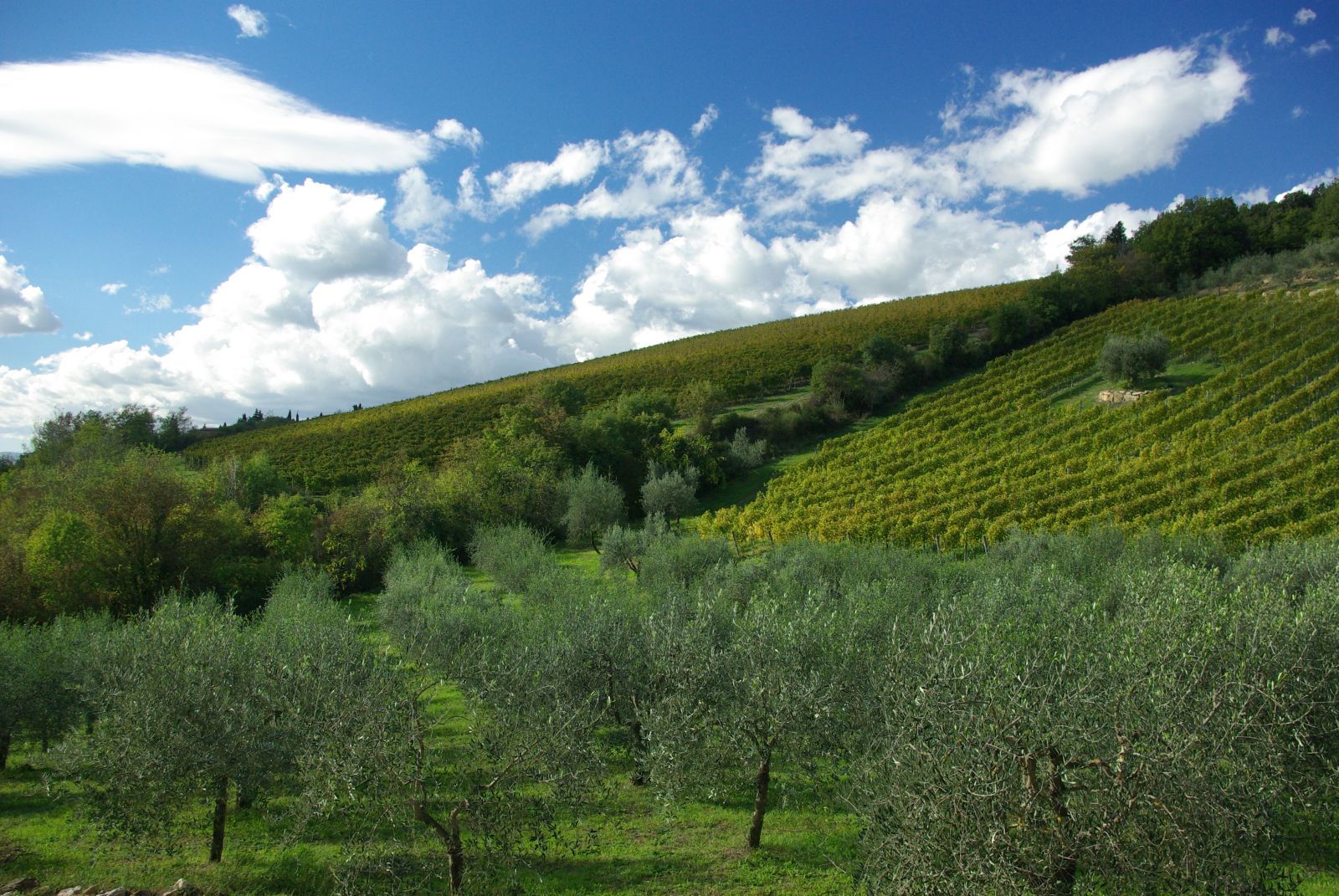 Tuscany and agriturismo