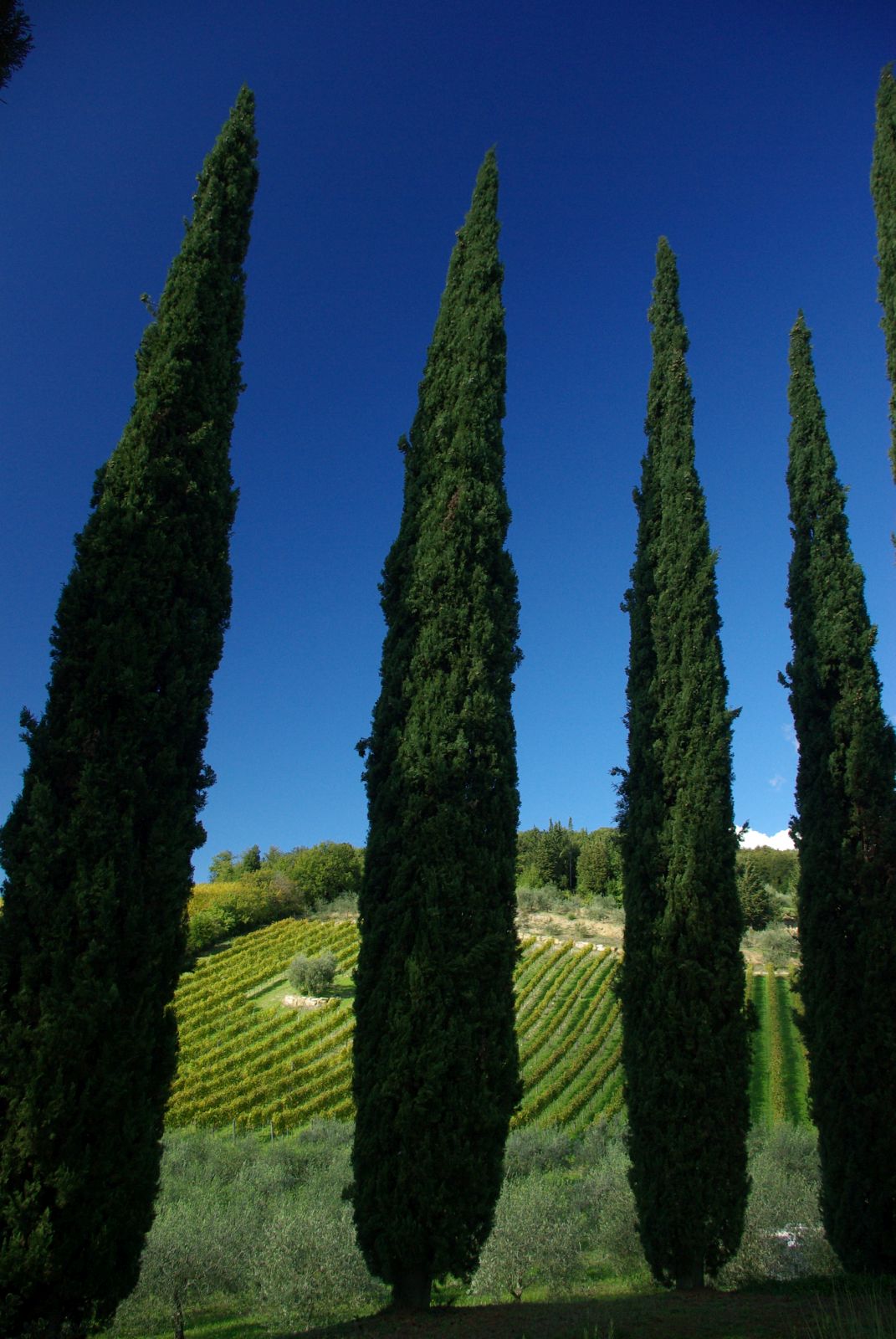 Tuscany and agriturismo