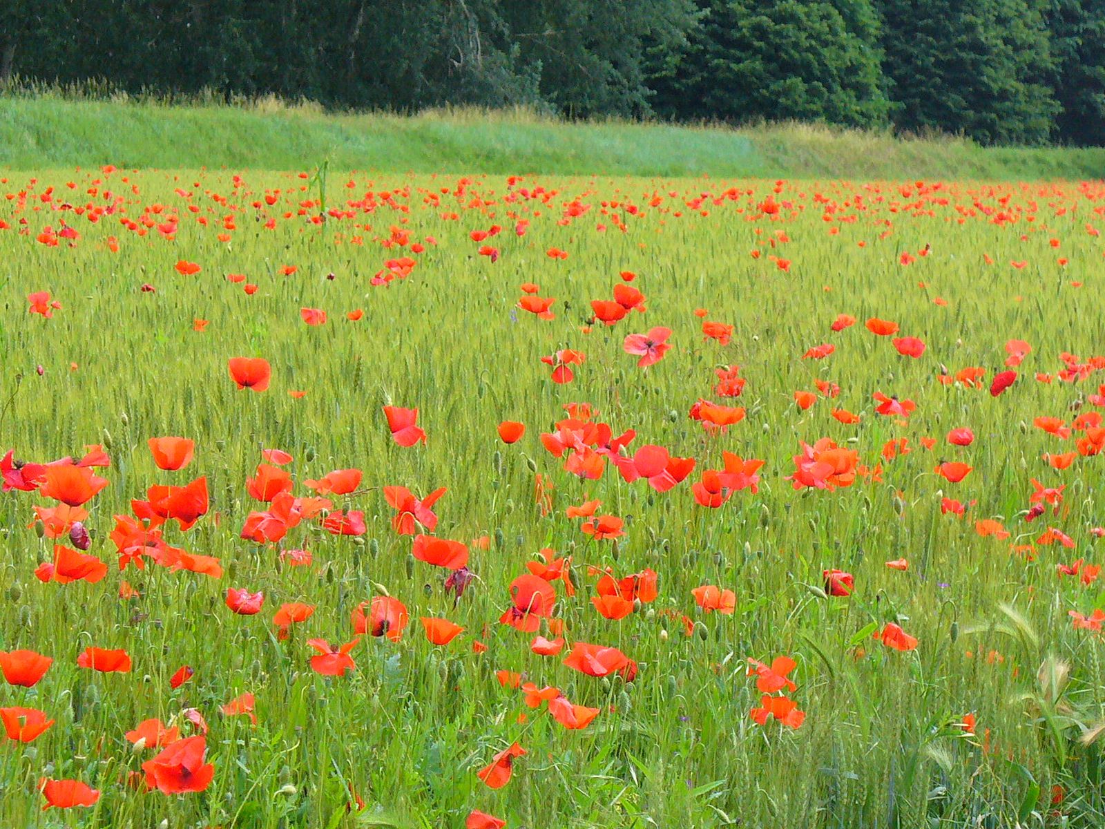 Tuscany and agriturismo