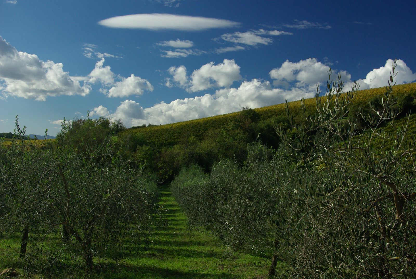 Tuscany and agriturismo